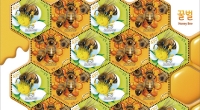 “꿀벌을 보호하자” ‘꿀벌’ 기념우표 발행