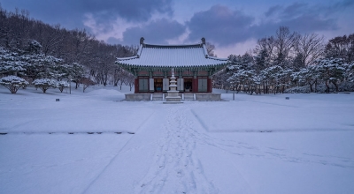 겨울바람에도 끄떡없는 청주국제공항의 뜨거운 여정