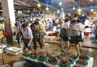 여름 밥상을 책임지는 경북의 부엌 포항 죽도시장