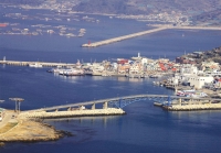 삶의 응어리 핏빛 동백으로 피어났나